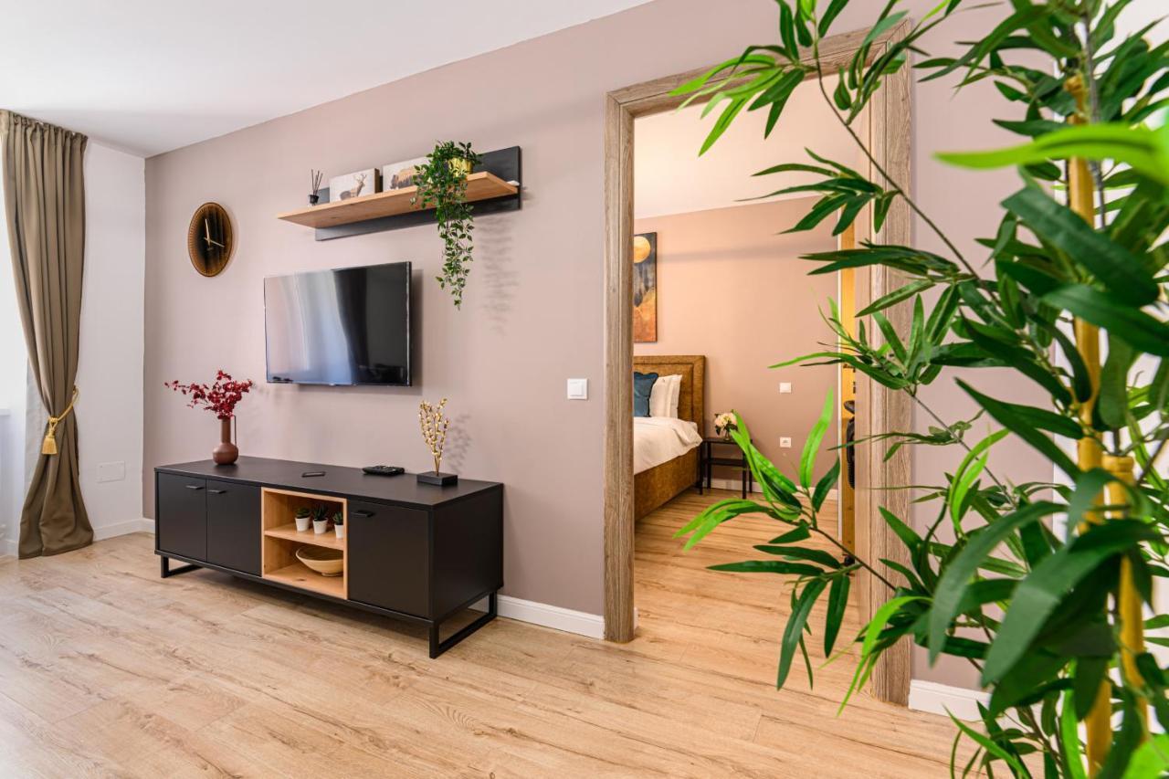 Schei Gate Apartment Brassó Kültér fotó