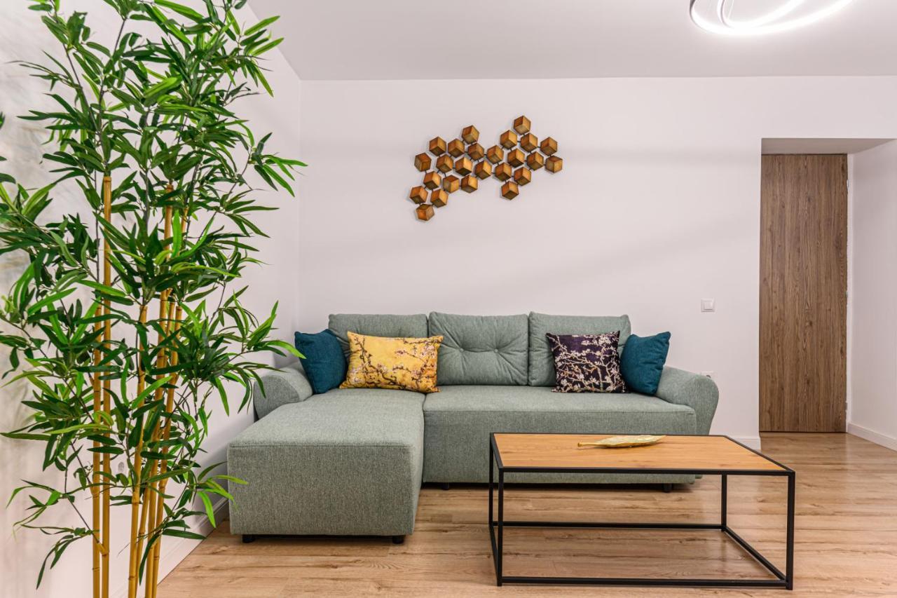 Schei Gate Apartment Brassó Kültér fotó