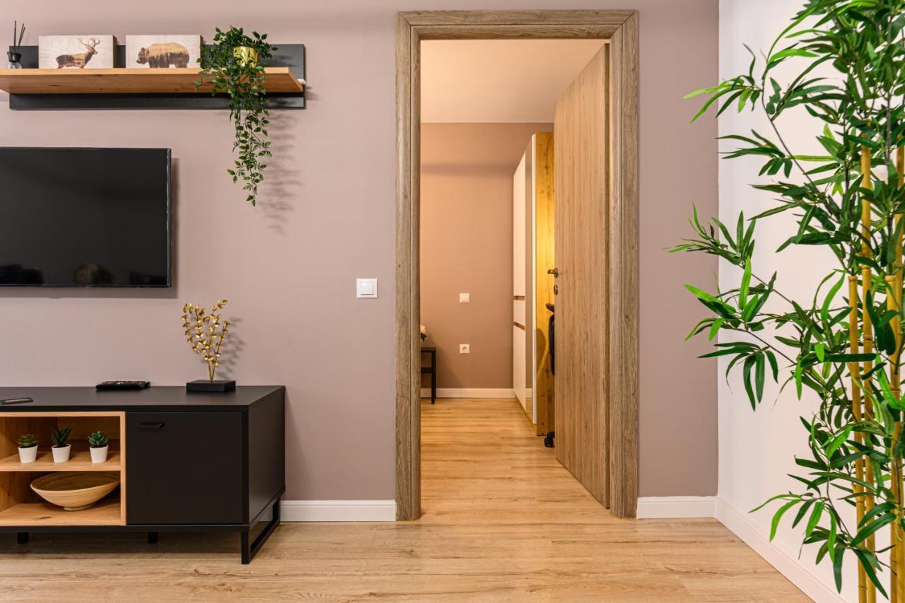 Schei Gate Apartment Brassó Kültér fotó